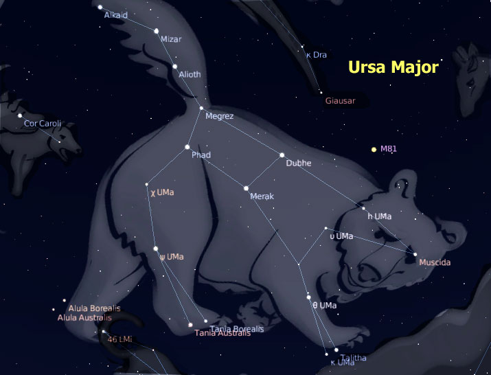 Ursa Major (The Great Bear)